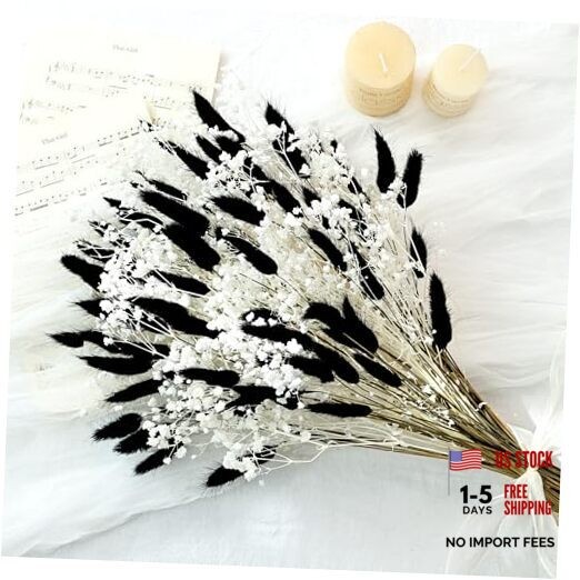 Bunny Tails Dried Flowers Bouquet Fluffy Nature Pampas Grass with Baby Black