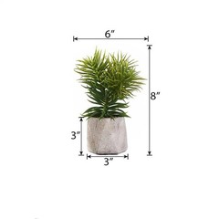 3 8″ Green Assorted Faux Crassula Succulent Plants Ceramic Pots Home Centerpiece