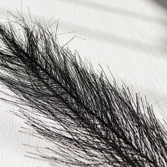 3 BLACK 44″ ARTIFICIAL Pampas Grass SPRAYS Faux Plant STEMS Party Decorations