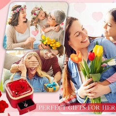 Gifts for Mom Preserved Real Rose with Red Necklace 40.64 cm, B
