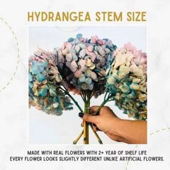 Preserved Hydrangea Big Leaf Dried Flowers Home Wedding Bouquet Decor