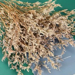 Dried Flowers Bouquet, Dry Caspia Flower Bundle, Floral Lavender, Babys Natural