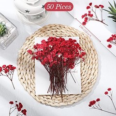 Pcs Dried Baby Breath Flowers, Red Mini Natural Gypsophila Dried Pressed 50