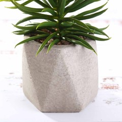 3 8″ Green Assorted Faux Crassula Succulent Plants Ceramic Pots Home Centerpiece