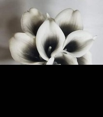 Black White Calla Lily Bridal Wedding Bouquet Accessories
