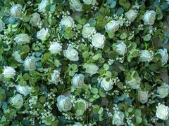 6FT Artificial Eucalyptus Garland with Flowers, 10 Roses Baby Breath White