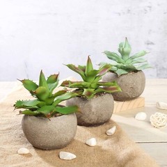3 Round Pots 5″ Assorted Faux Aloe Succulent Plants Wedding Favors Centerpieces