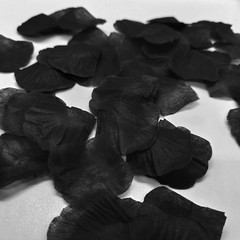 500 Pcs Exquisite Black Rose Petals, Emulation Silk Rose Petals, Artificial Flow