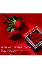 Preserved Real Red Rose Flower with I Love You Silver Necklace Projection Stone