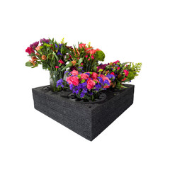 EPE Floral Arrangement Transport Tray, 5 Holes, 24″ x 24″ x 7″, Fits Vases 2″-8″