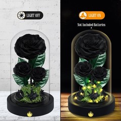 3 Preserved Flowers Roses in Glass Dome for Beauty and The Black